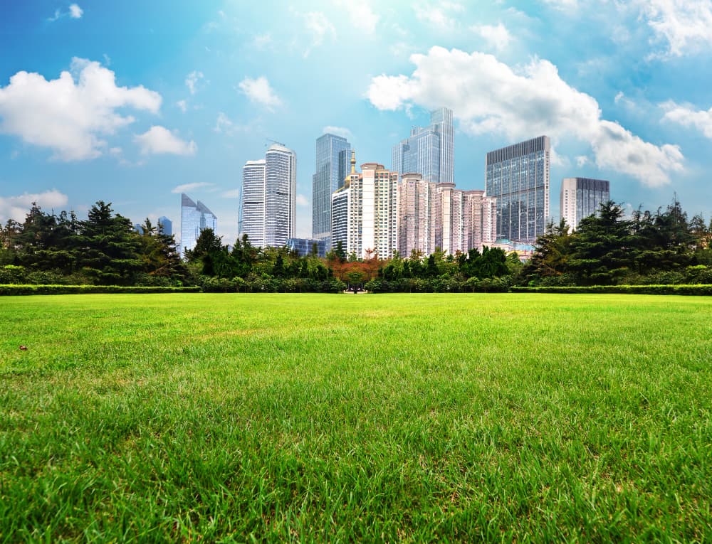 Land Parcel
